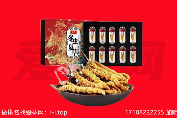 东宝区回收虫草.jpg